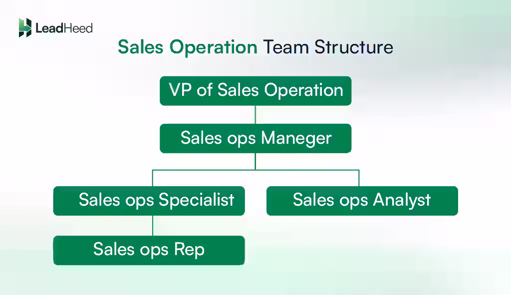 sales operation structure